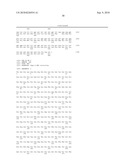 CIRCOVIRUS SEQUENCES ASSOCIATED WITH PIGLET WEIGHT LOSS DISEASE (PWD) diagram and image