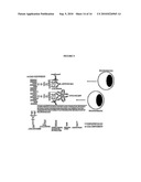 COMPOSITIONS & METHODS FOR WOUND HEALING diagram and image