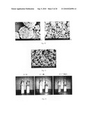 Method of Producing Porous Microparticles diagram and image