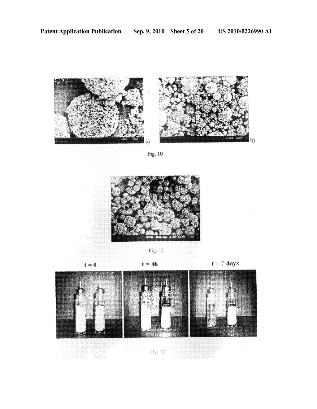 Method of Producing Porous Microparticles - diagram, schematic, and image 06