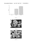 Method of Producing Porous Microparticles diagram and image