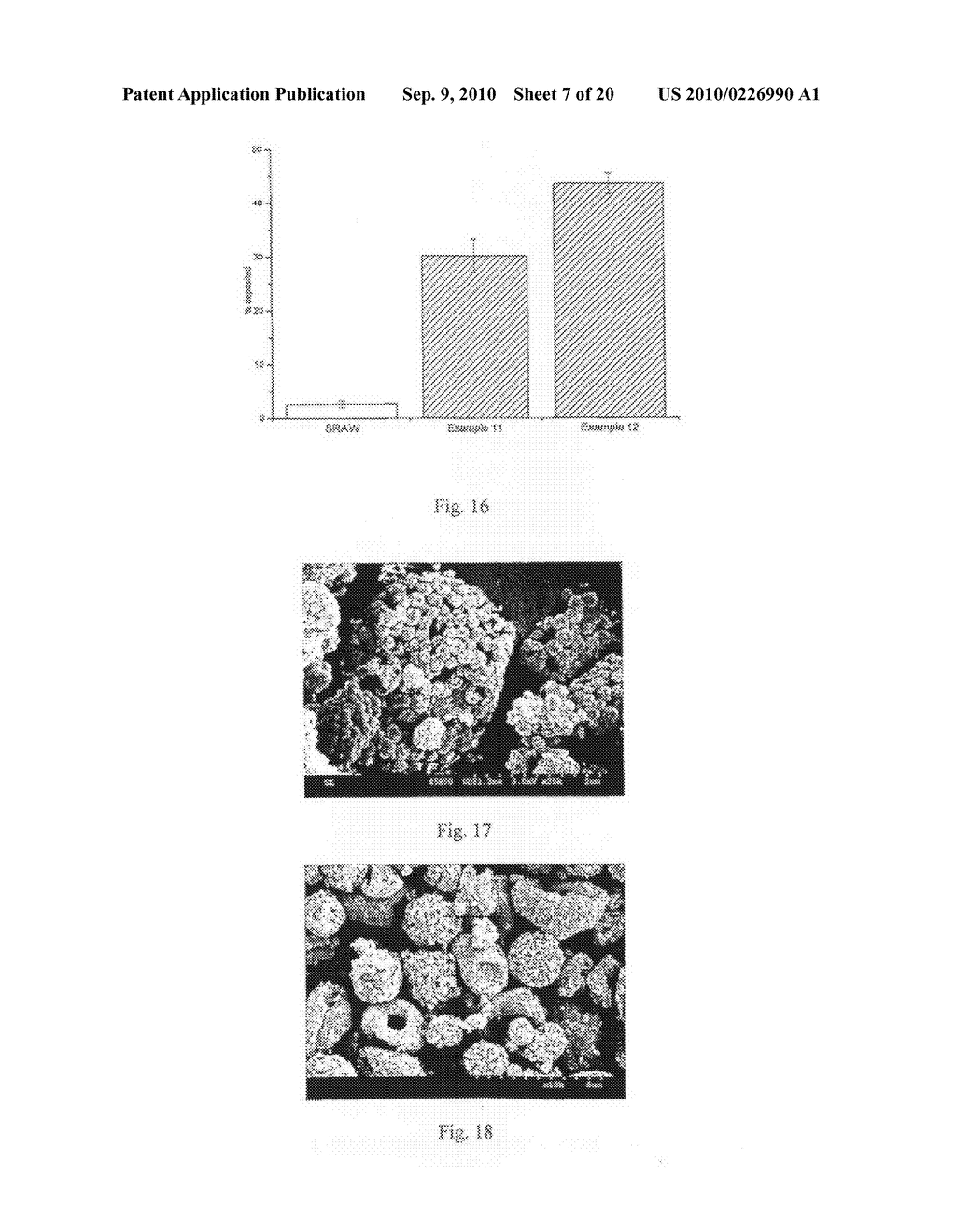 Method of Producing Porous Microparticles - diagram, schematic, and image 08