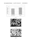 Method of Producing Porous Microparticles diagram and image