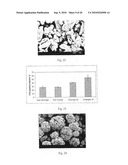 Method of Producing Porous Microparticles diagram and image