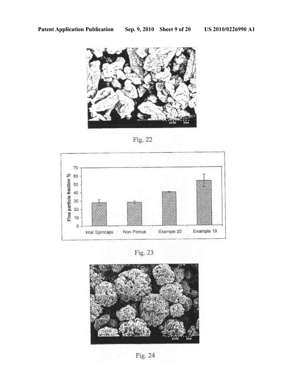 Method of Producing Porous Microparticles - diagram, schematic, and image 10