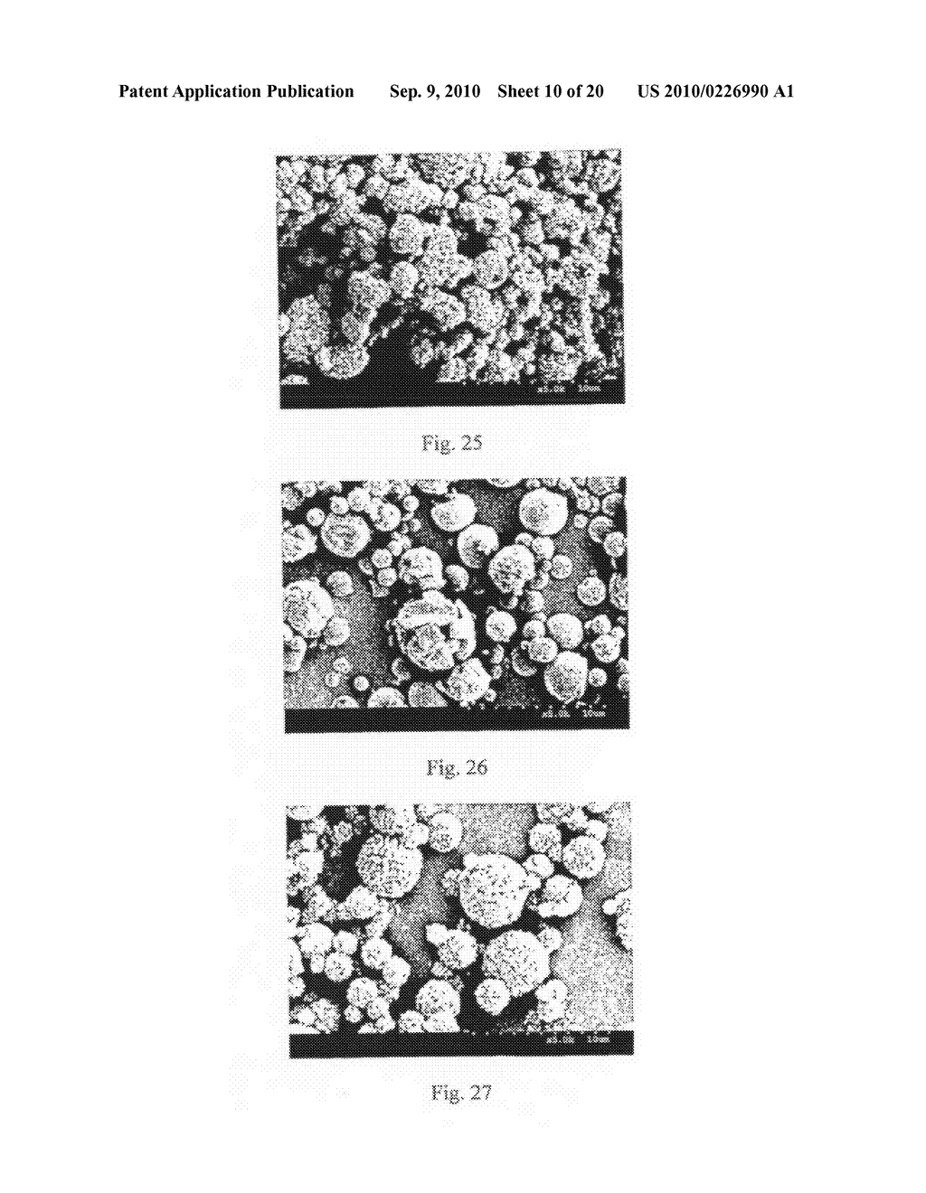 Method of Producing Porous Microparticles - diagram, schematic, and image 11