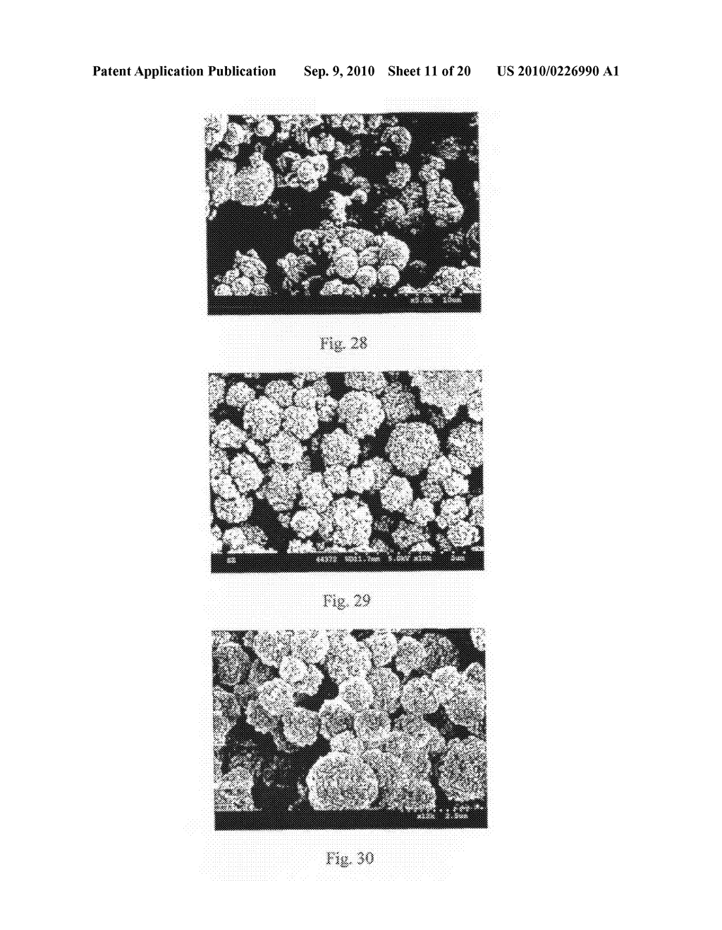 Method of Producing Porous Microparticles - diagram, schematic, and image 12