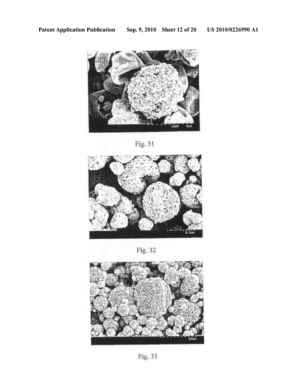 Method of Producing Porous Microparticles - diagram, schematic, and image 13