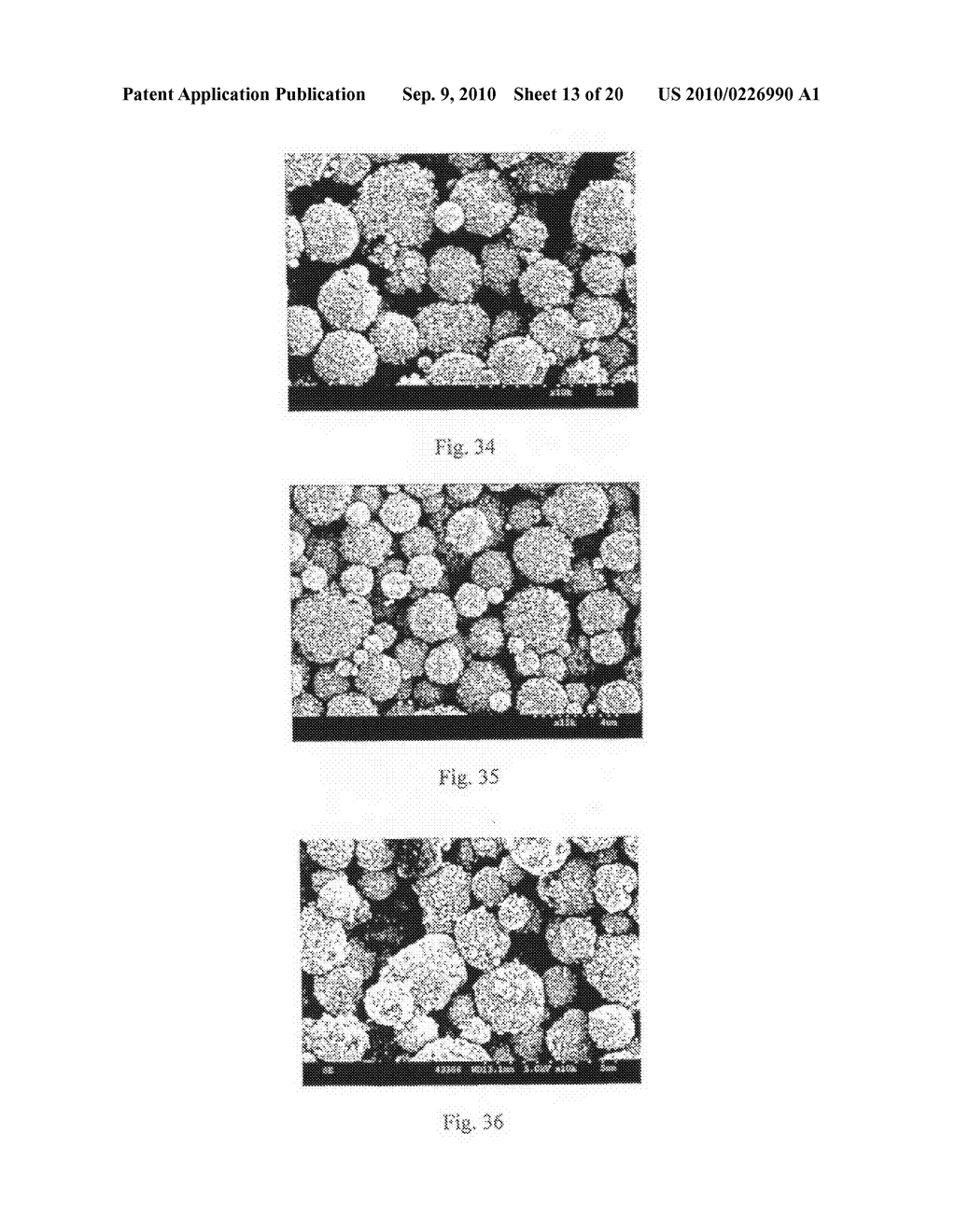 Method of Producing Porous Microparticles - diagram, schematic, and image 14