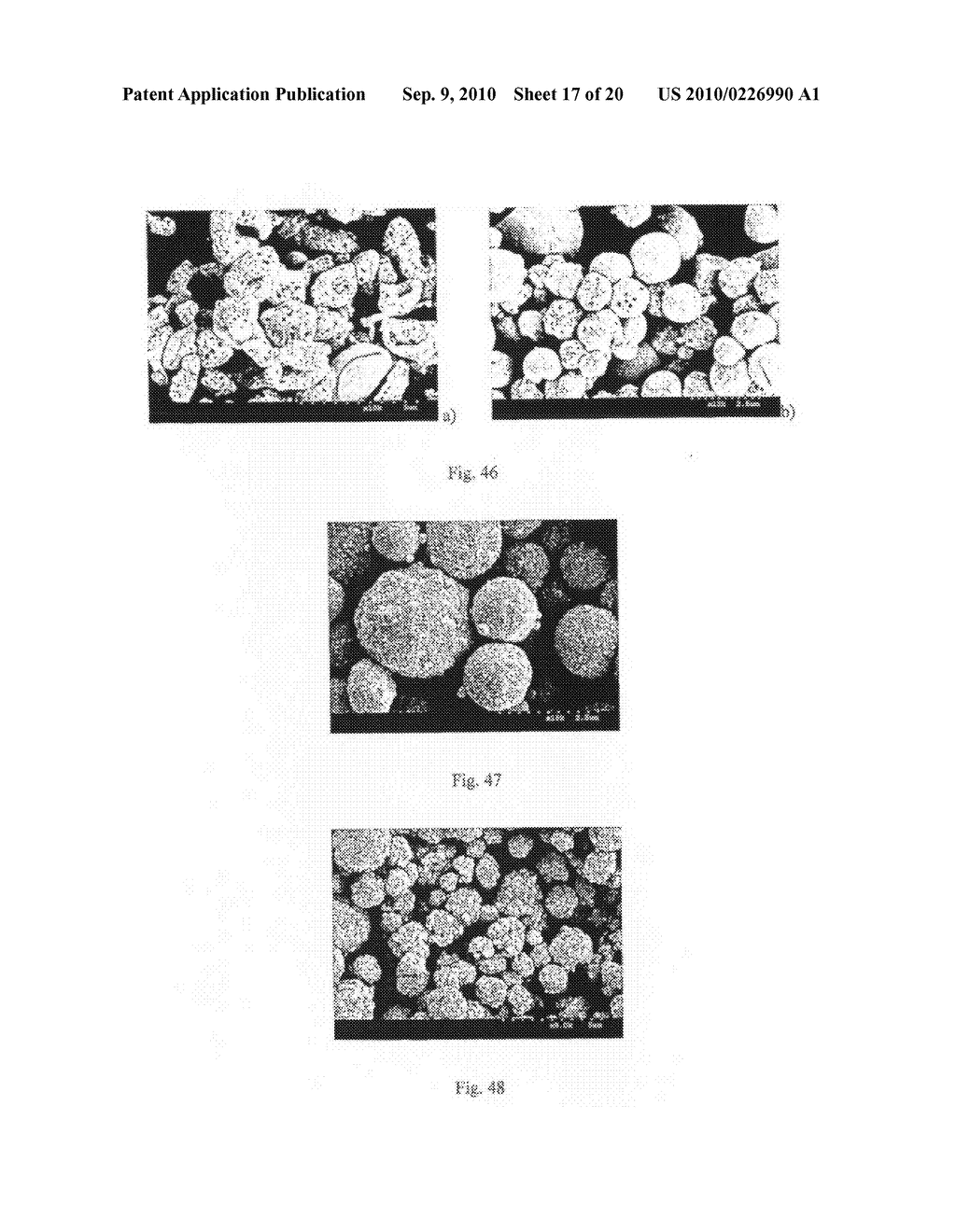 Method of Producing Porous Microparticles - diagram, schematic, and image 18