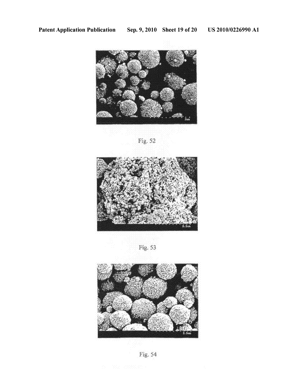 Method of Producing Porous Microparticles - diagram, schematic, and image 20