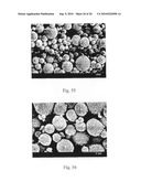 Method of Producing Porous Microparticles diagram and image
