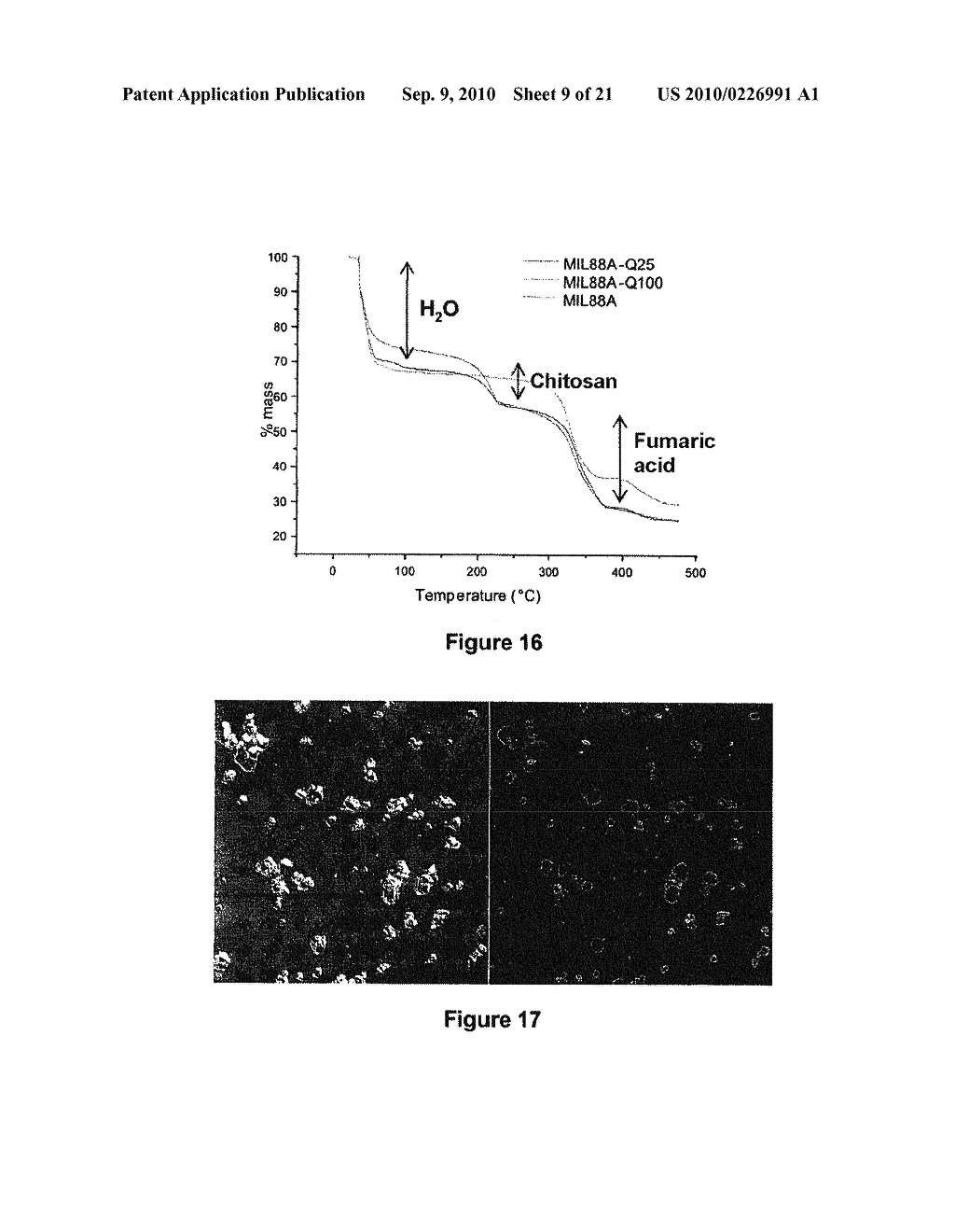 SOLID INORGANIC/ORGANIC HYBRID WITH MODIFIED SURFACE - diagram, schematic, and image 10