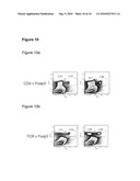 BACTERIAL EXTRACT FOR RESPIRATORY DISORDERS AND PROCESS FOR ITS PREPARATION diagram and image