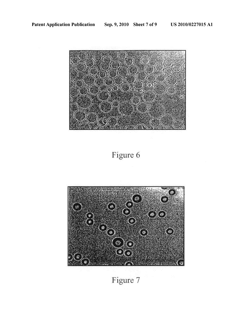 Method and apparatus for making porous agarose beads - diagram, schematic, and image 08