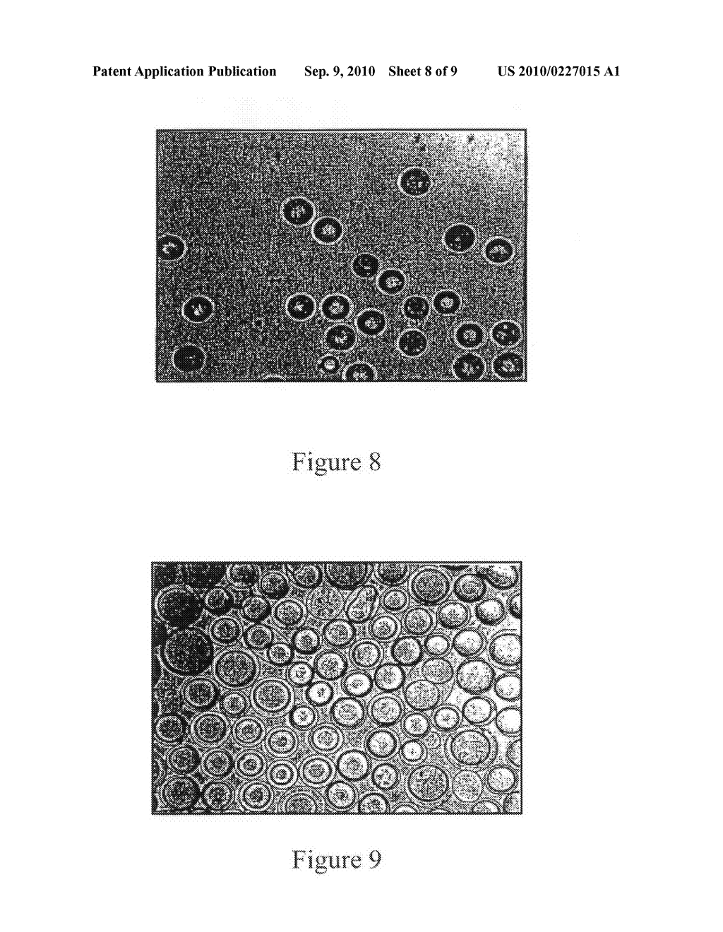 Method and apparatus for making porous agarose beads - diagram, schematic, and image 09