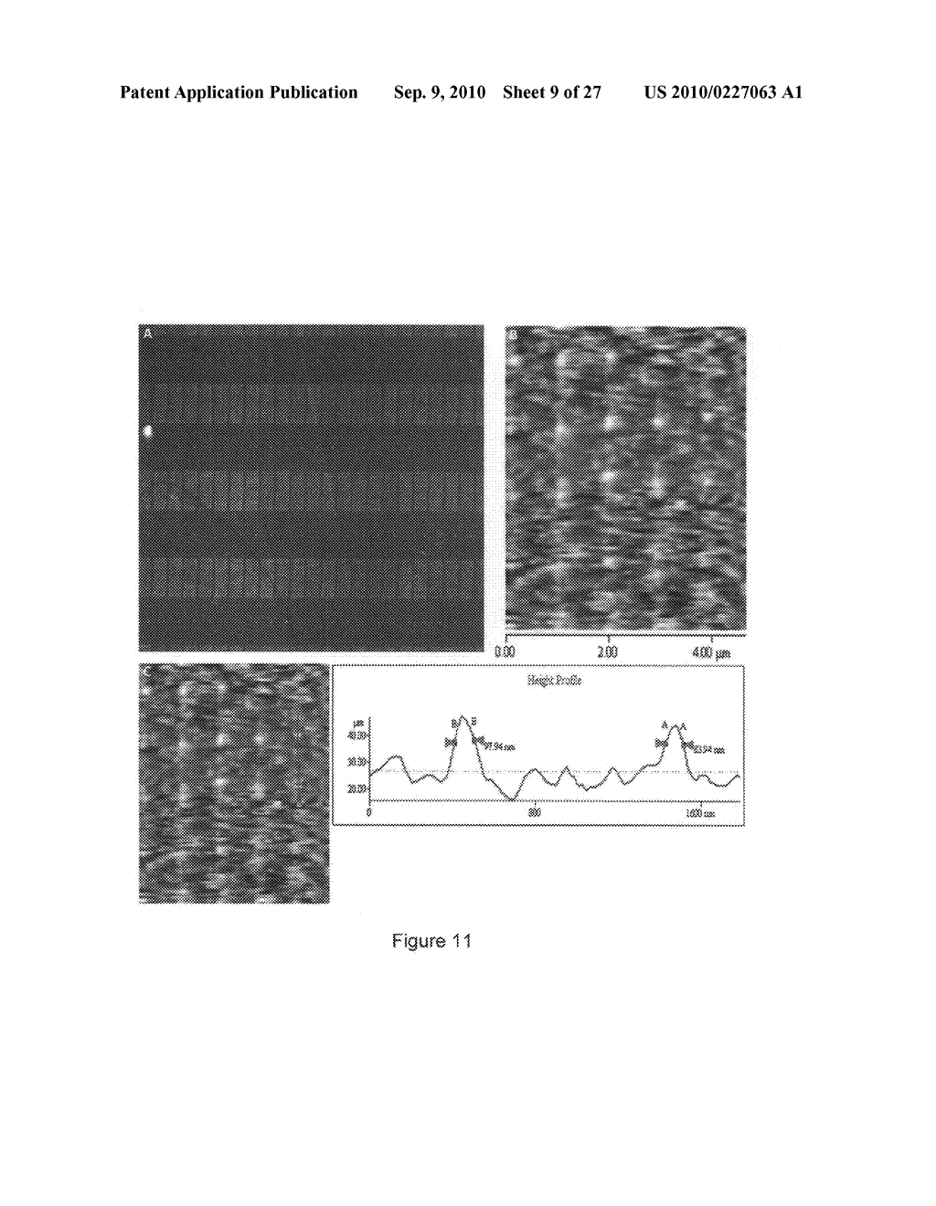 Large area, homogeneous array fabrication including substrate temperature control - diagram, schematic, and image 10