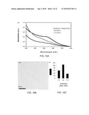 Method of Synthesizing Metal Nanoparticles Using 9-Borabicyclo [3.3.1] Nonane (9-BBN) as a Reducing Agent diagram and image