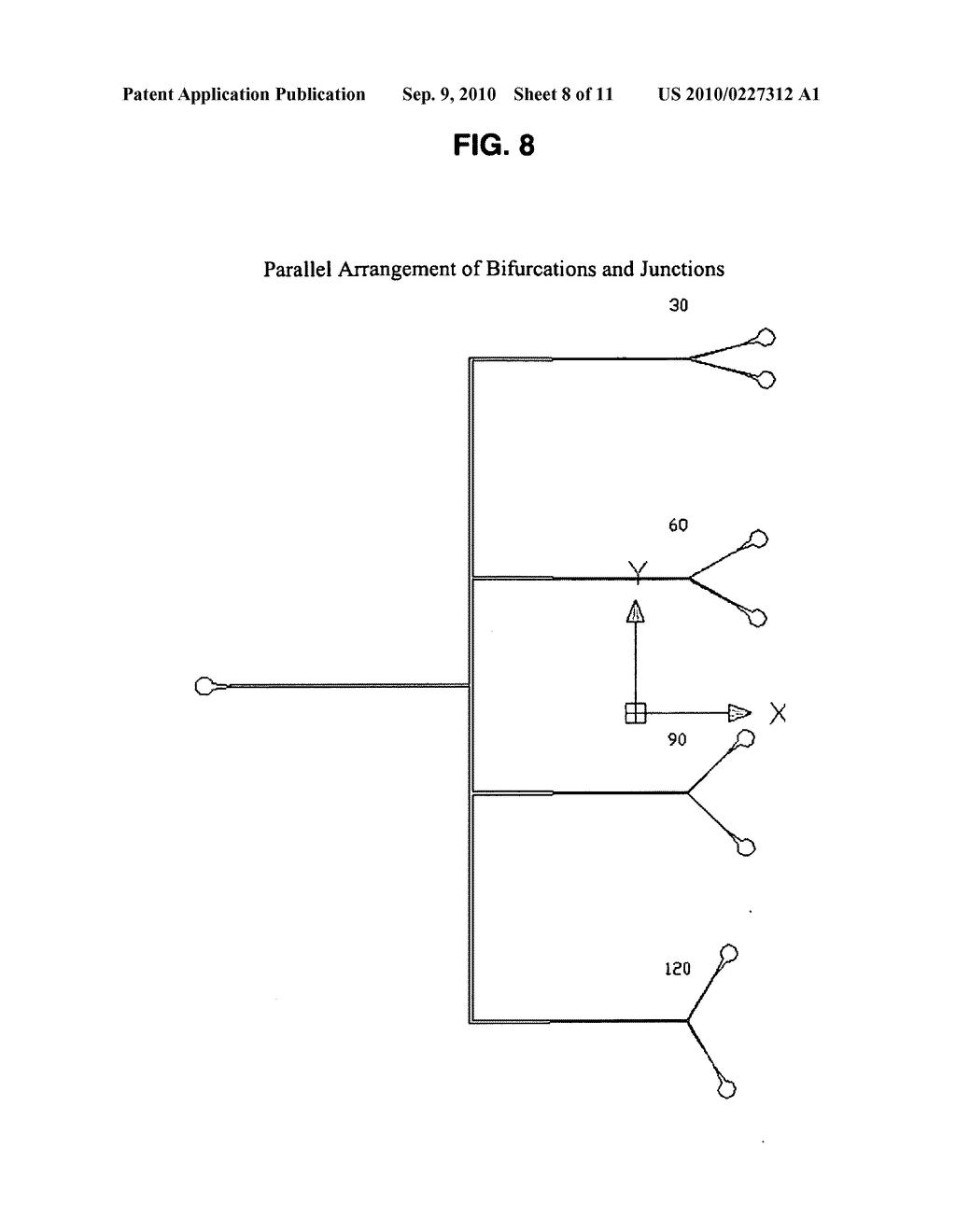 Particle Adhesion Assay for Microfluidic Bifurcations - diagram, schematic, and image 09