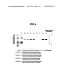 Method for selecting antimicrobial agent and utilization thereof diagram and image