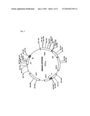 Method of Screening Substance Useful in Treating Disease With the Use of GPR40 and Phospholipase diagram and image