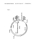 Method of Screening Substance Useful in Treating Disease With the Use of GPR40 and Phospholipase diagram and image