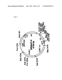 Method of Screening Substance Useful in Treating Disease With the Use of GPR40 and Phospholipase diagram and image