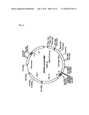 Method of Screening Substance Useful in Treating Disease With the Use of GPR40 and Phospholipase diagram and image