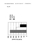 Method of Screening Substance Useful in Treating Disease With the Use of GPR40 and Phospholipase diagram and image