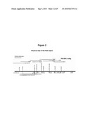 Autoimmune Conditions and NADPH Oxidase Defects diagram and image