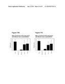 Autoimmune Conditions and NADPH Oxidase Defects diagram and image