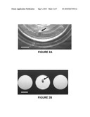 MINERALIZED THREE-DIMENSIONAL BONE CONSTRUCTS diagram and image