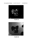 MINERALIZED THREE-DIMENSIONAL BONE CONSTRUCTS diagram and image