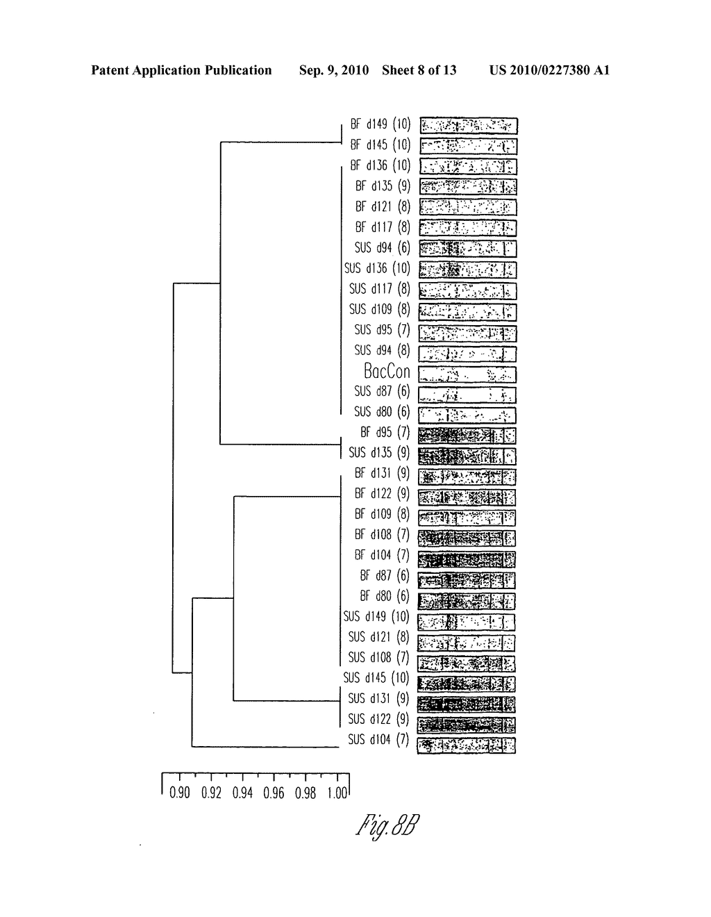 BIOREMEDIATION - diagram, schematic, and image 09