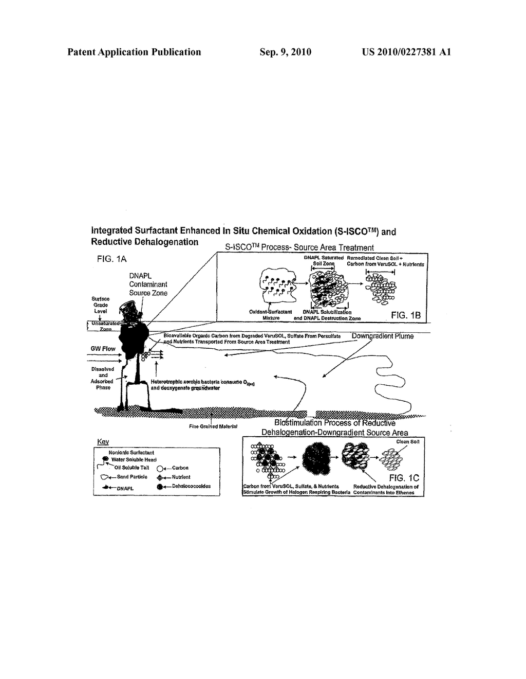 ENHANCED BIODEGRADATION OF NON-AQUEOUS PHASE LIQUIDS USING SURFACTANT ENHANCED IN-SITU CHEMICAL OXIDATION - diagram, schematic, and image 02