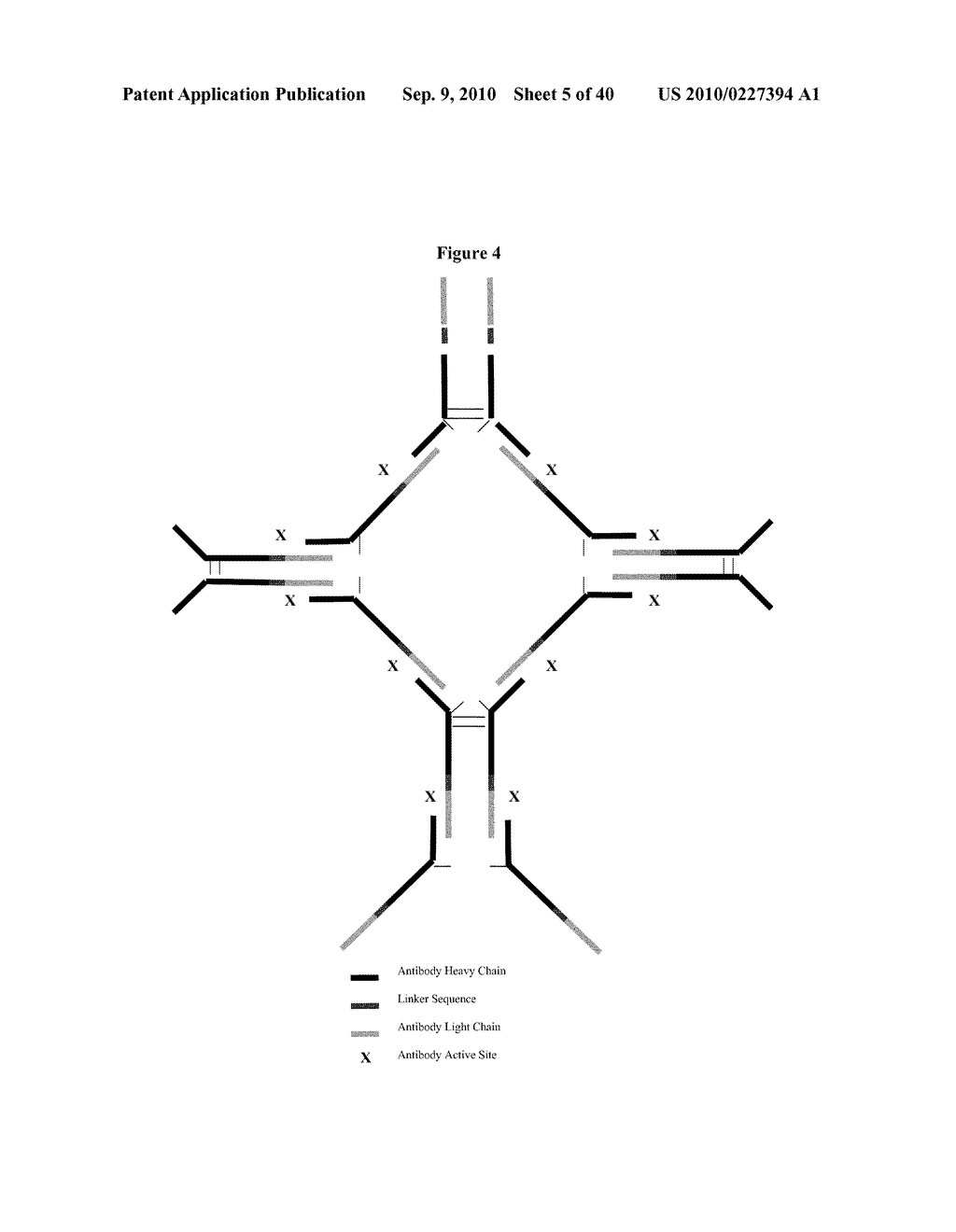 FUSION ANTIBODIES - diagram, schematic, and image 06