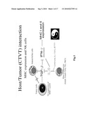 CANINE TUMOR CELL AND ALLOGENEIC DENDRITIC CELL FUSED VACCINE AND METHOD FOR PREPARING THE SAME diagram and image