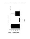 CANINE TUMOR CELL AND ALLOGENEIC DENDRITIC CELL FUSED VACCINE AND METHOD FOR PREPARING THE SAME diagram and image