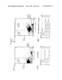 Preparation method of a hair dermal papilla cell preparation, composition and method for regenerating hair follicles, and animal having regenerated hair follicles diagram and image