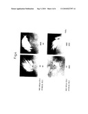 Preparation method of a hair dermal papilla cell preparation, composition and method for regenerating hair follicles, and animal having regenerated hair follicles diagram and image