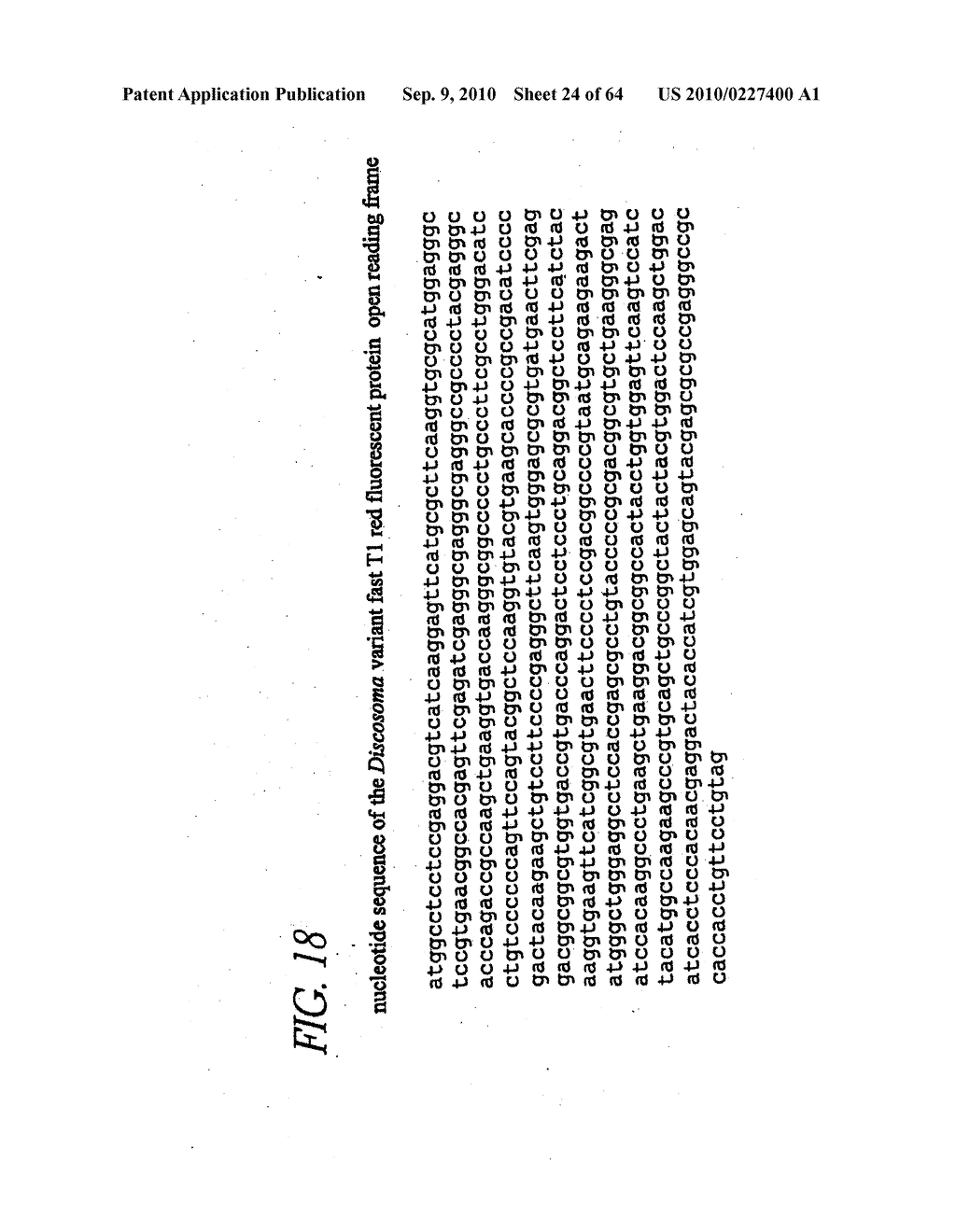 MONOMERIC AND DIMERIC FLUORESCENT PROTEIN VARIANTS AND METHODS FOR MAKING SAME - diagram, schematic, and image 25