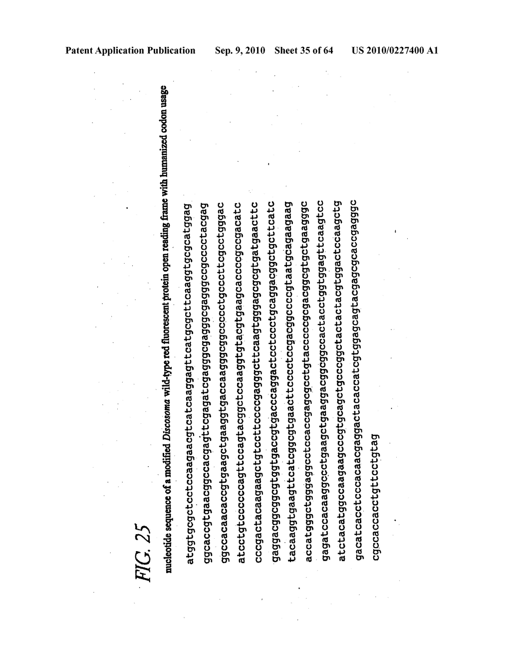 MONOMERIC AND DIMERIC FLUORESCENT PROTEIN VARIANTS AND METHODS FOR MAKING SAME - diagram, schematic, and image 36