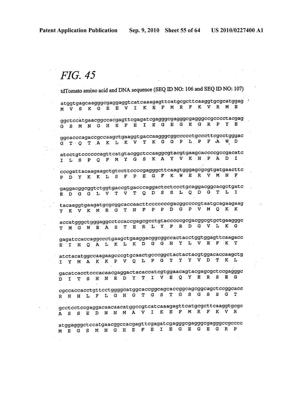 MONOMERIC AND DIMERIC FLUORESCENT PROTEIN VARIANTS AND METHODS FOR MAKING SAME - diagram, schematic, and image 56