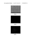 SEMICONDUCTOR DEVICES GROWN IN SPHERICAL CAVITY ARRAYS AND ITS PREPARATION METHOD diagram and image