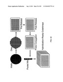 Brownian microbarcodes for bioassays diagram and image