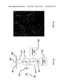 Brownian microbarcodes for bioassays diagram and image