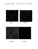 Brownian microbarcodes for bioassays diagram and image