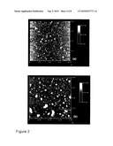 METHODS FOR DETECTION OF TARGET ON RESPONSIVE POLYMERIC BIOCHIPS diagram and image