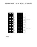 METHODS FOR DETECTION OF TARGET ON RESPONSIVE POLYMERIC BIOCHIPS diagram and image