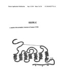 Method For Generating and Selecting Antibodies Against Target Protein diagram and image